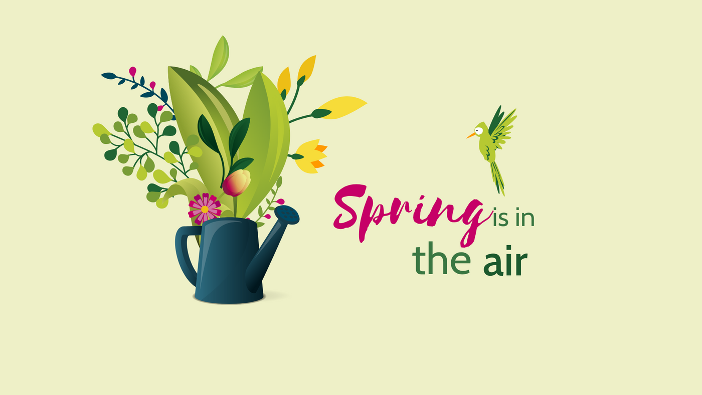 Spring Collection