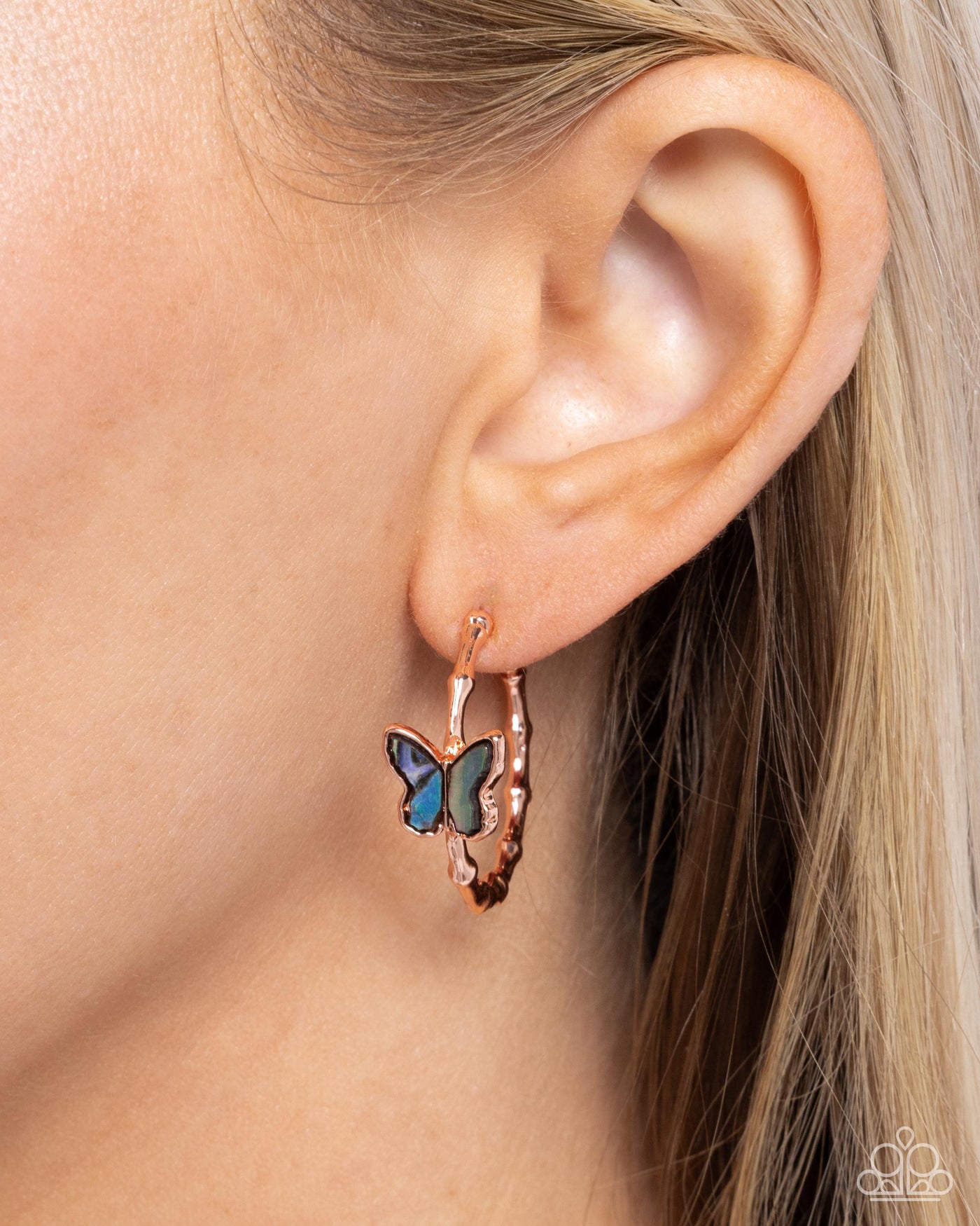 Paparazzi Butterfly Beginning
