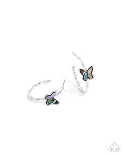 Paparazzi Butterfly Beginning