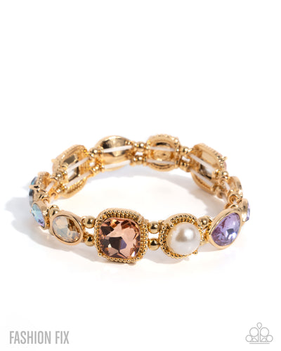 Paparazzi Collecting Chic - Multi