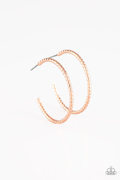 Paparazzi HOOP, Line, and Sinker