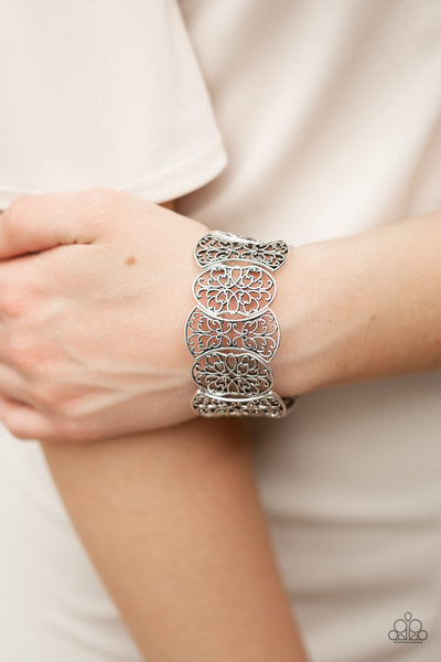 Paparazzi Fancy Fashionista - Silver
