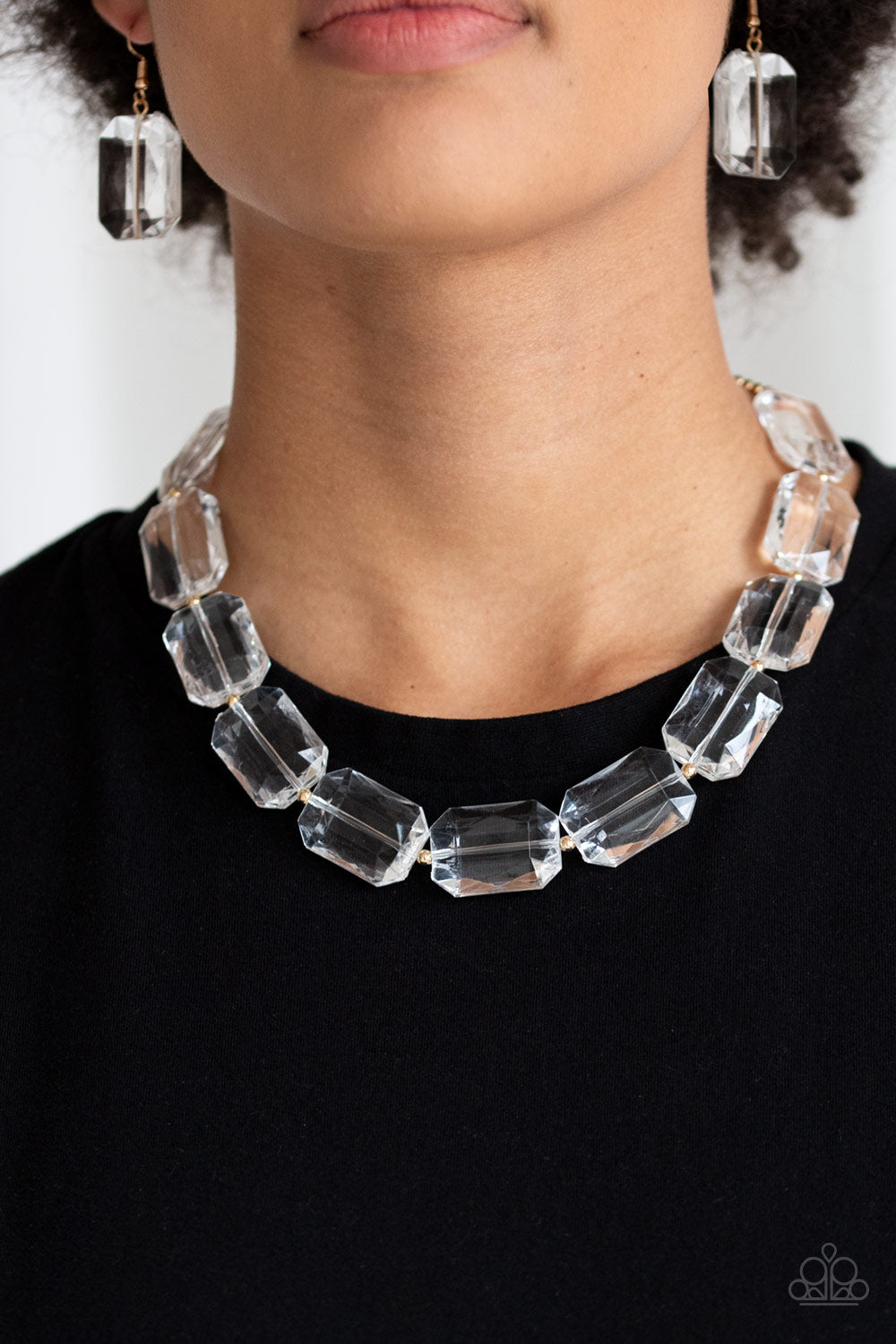 Paparazzi The ICE President