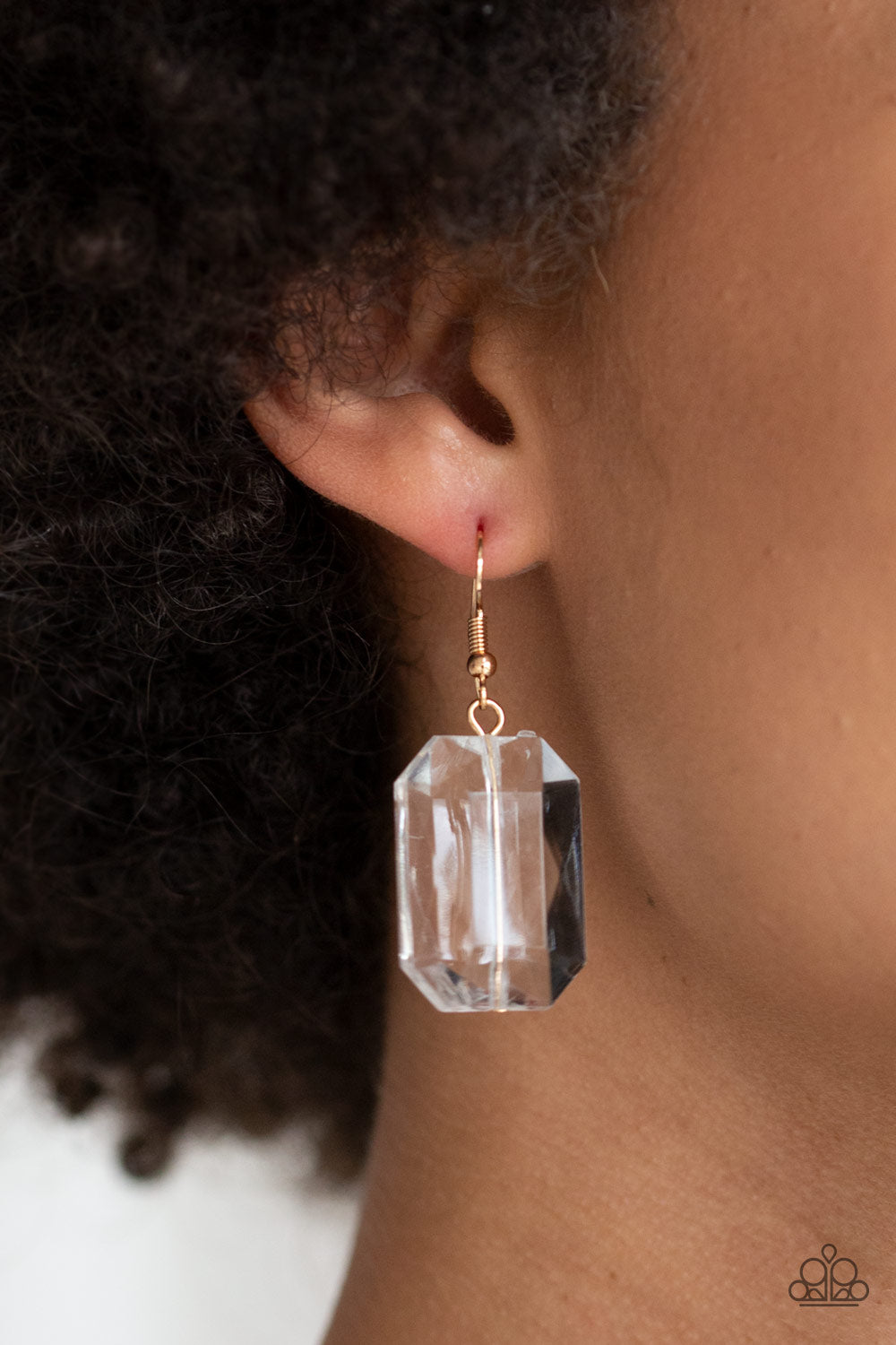 Paparazzi The ICE President