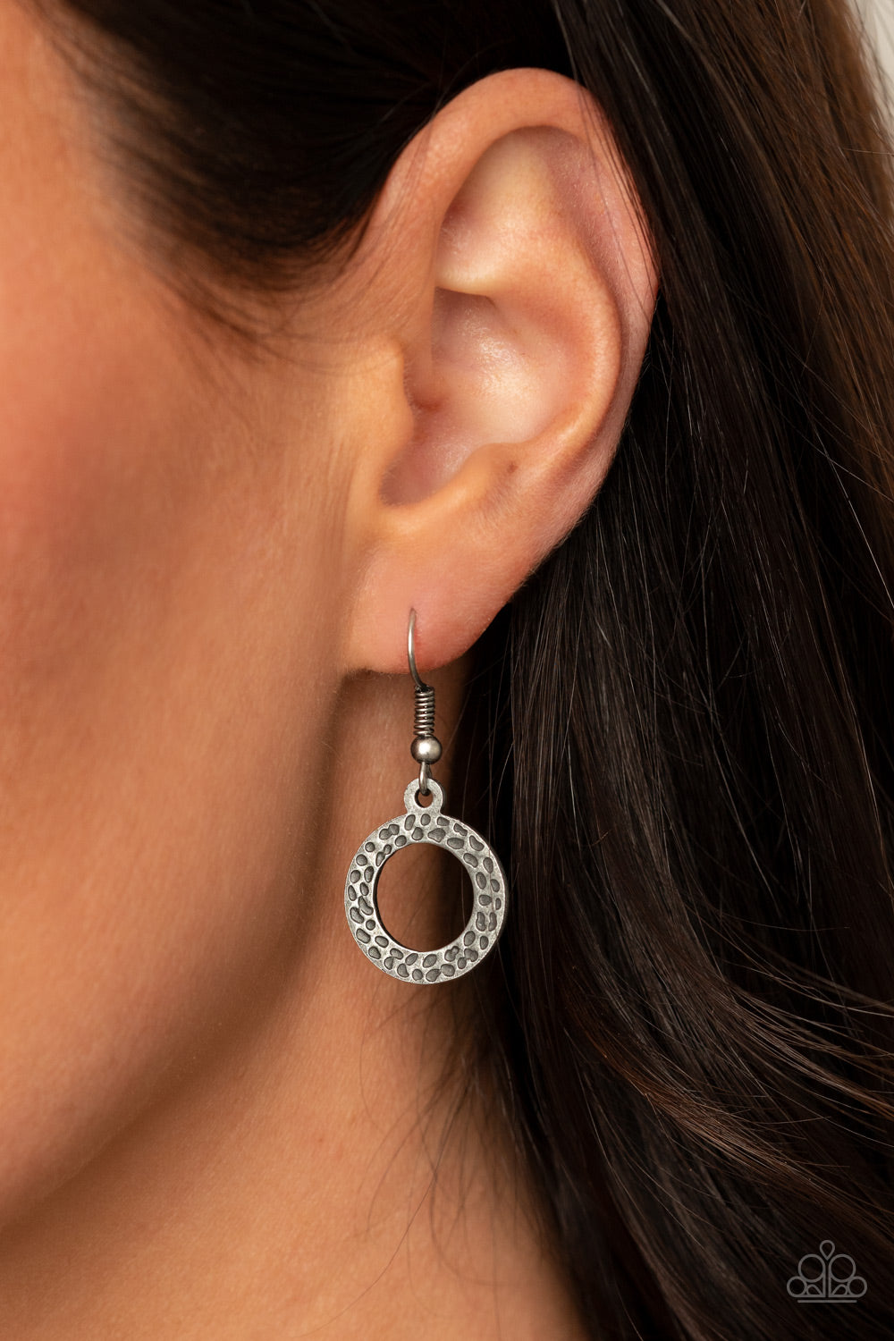 Paparazzi Terra Adventure - Silver