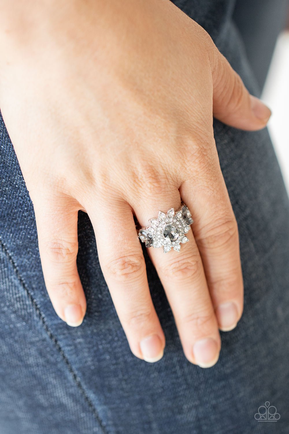 Paparazzi The Princess and The FROND Silver Ring