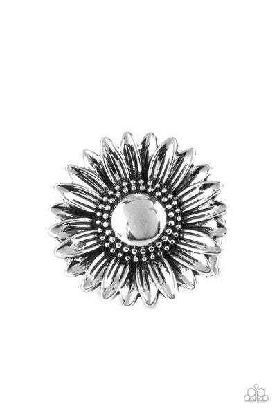 Paparazzi Farmstead Fashion - Silver