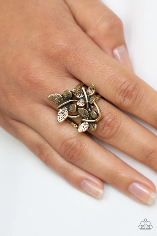 Paparazzi Full Of Flutter