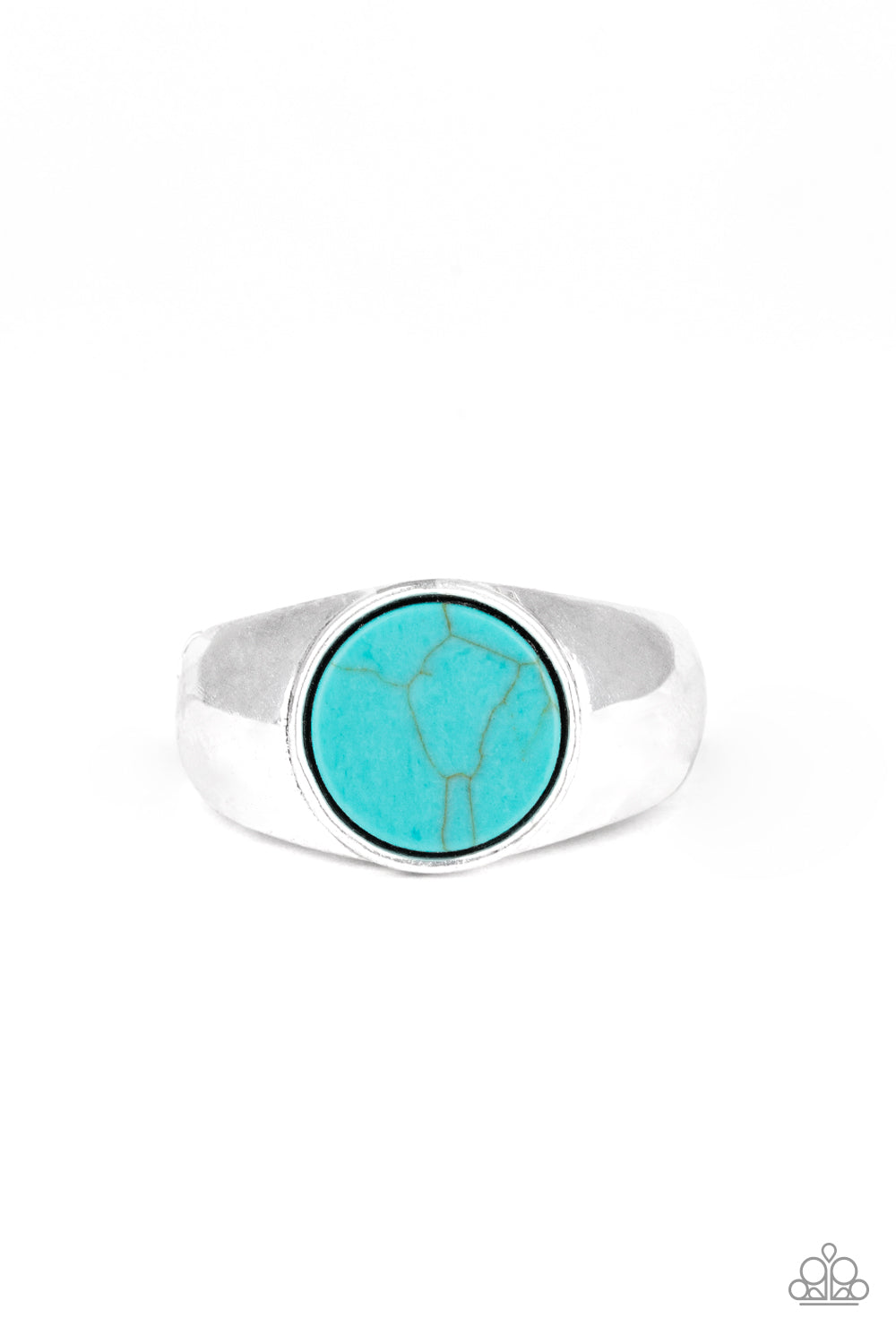 Paparazzi Carbon Print - Blue
