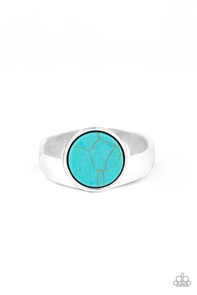 Paparazzi Carbon Print - Blue